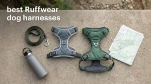 best Ruffwear dog harnesses