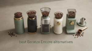 best Baratza Encore alternatives