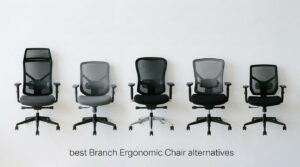 best Branch Ergonomic Chair alternatives