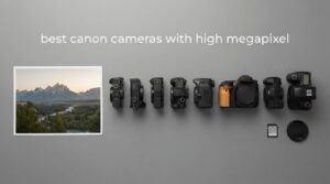 best canon cameras with high megapixel